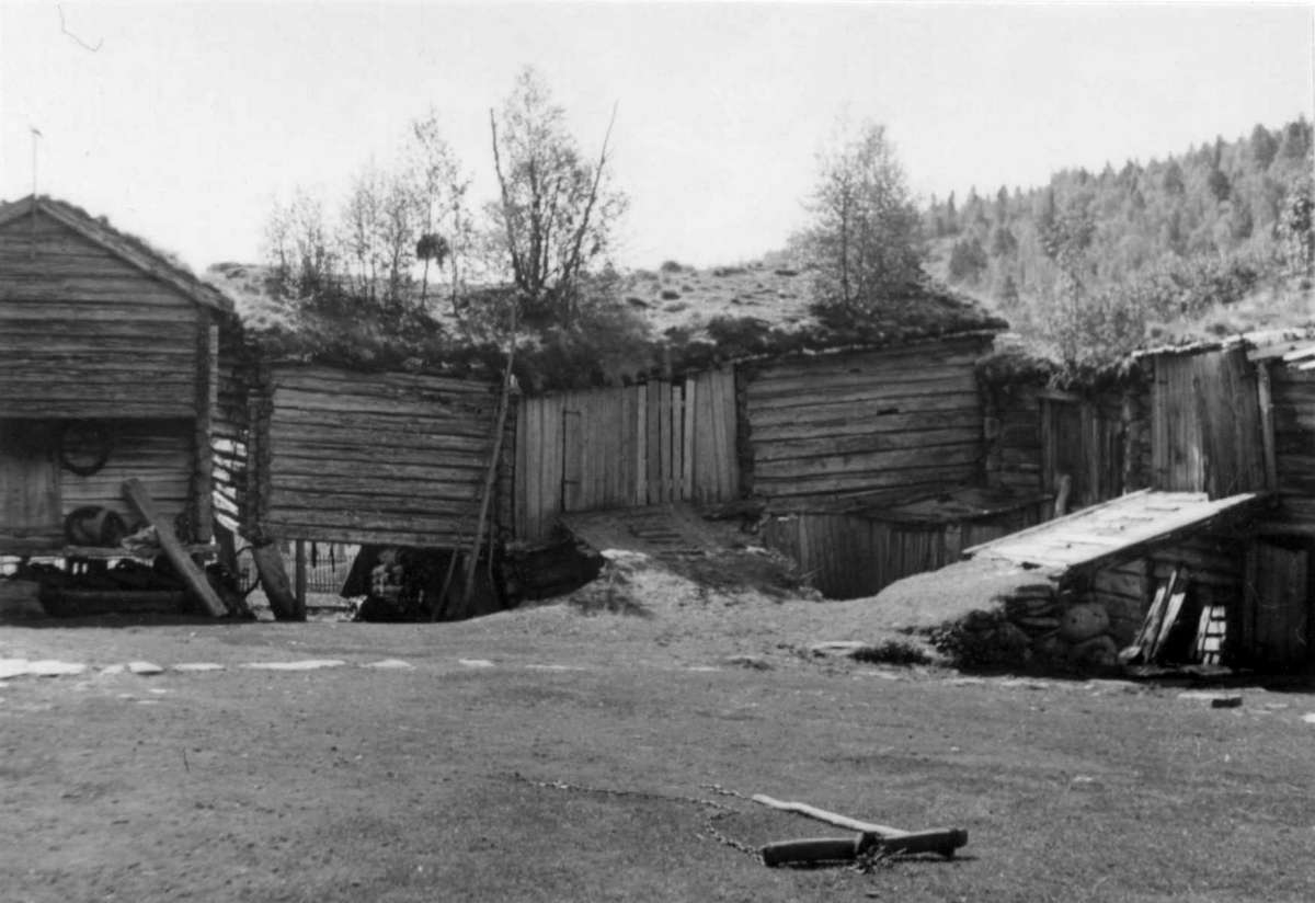 Næverdal, Rennebu, Sør-Trøndelag 1953. Bur, tresklåve og fjøs fra vest.
