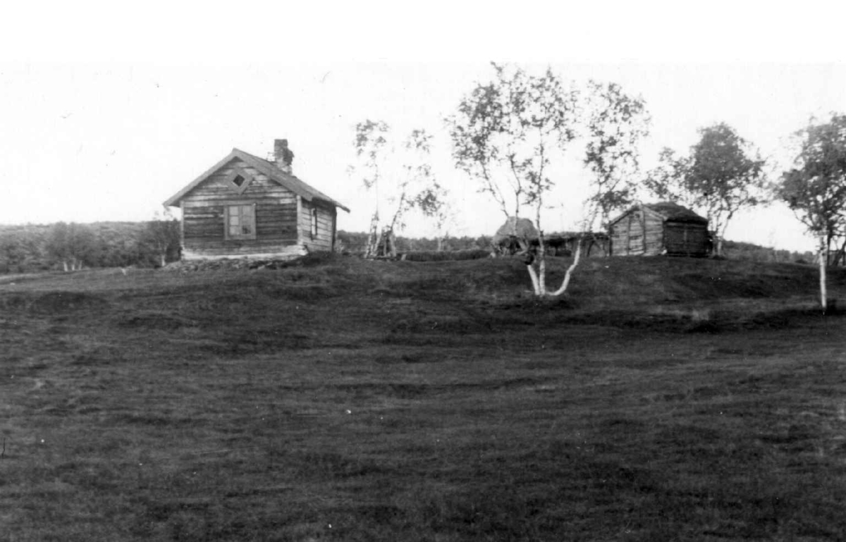 Gården til Ole J. Bær, med våningshus og stabbur. Avzzevuobme 1953.