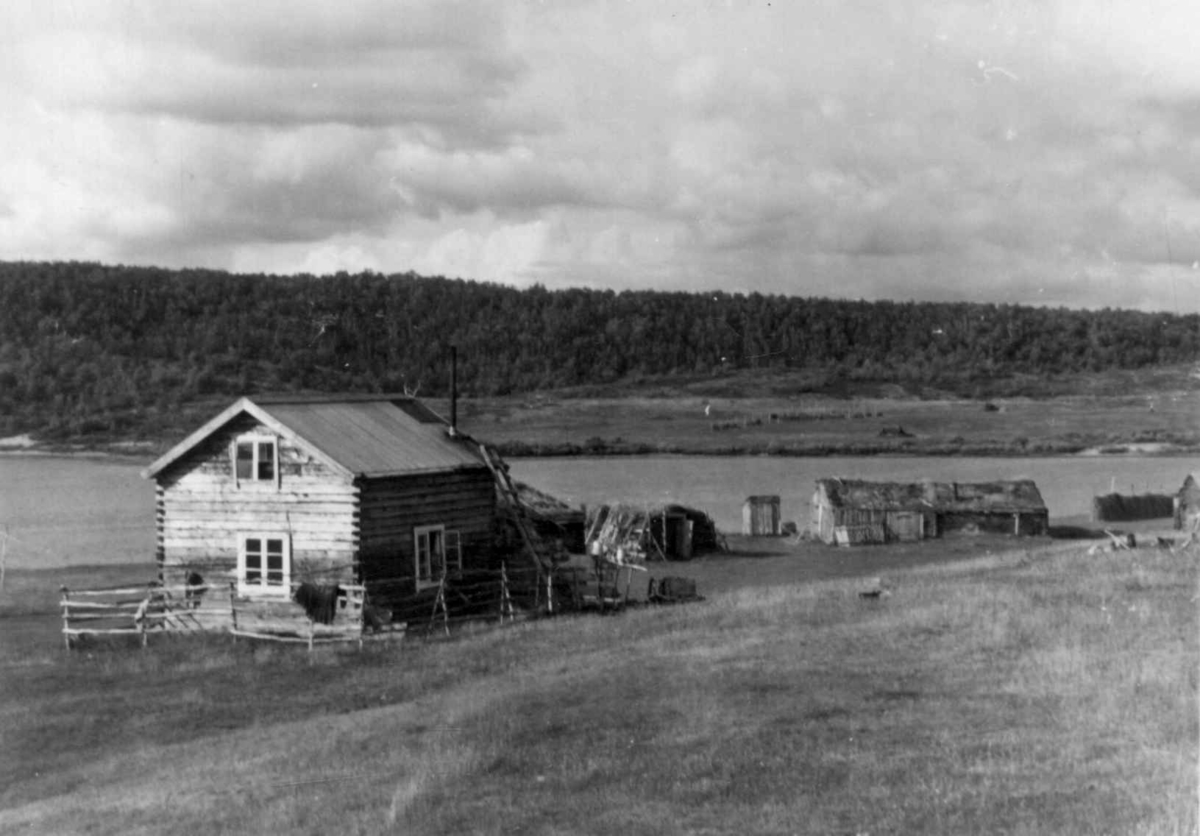 Bolig, stall, do, fjøs, og uthus på gården til Mikkel Mathis Hätta. Mieron 1953.