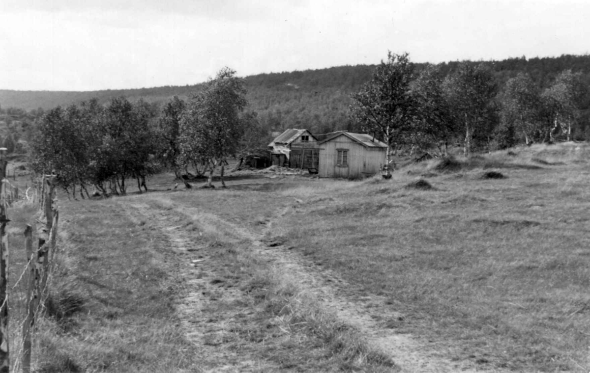 Fjøs og bygning på N. N. Saras gård, Sarabakken, Masi 1953.