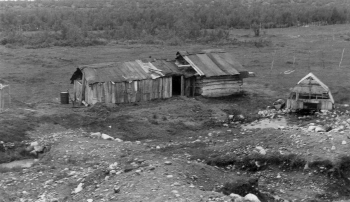 Fjøset og kilden på John Eiras gård, Cunovuoppe 1953.