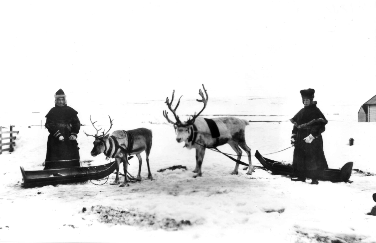 Døtre av amtmann Graff, Olga og Minka, kledd i samiskinspirerte drakter. De har hvert sitt reinsdyr med pulk. Vadsø 1898.