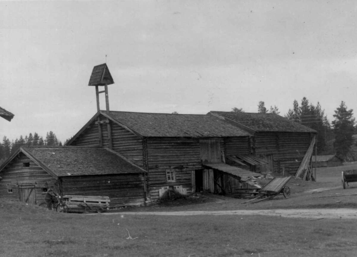 Søre Flermoen, Trysil, Hedmark mai 1950. Fjøs.