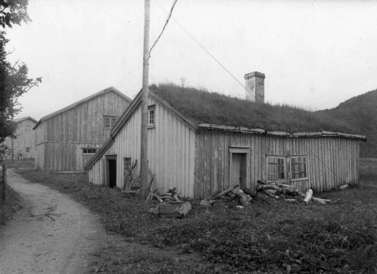 Kjerringoy
Fra dr. Eivind S. Engelstads storgårdsundersøkelser 1954.