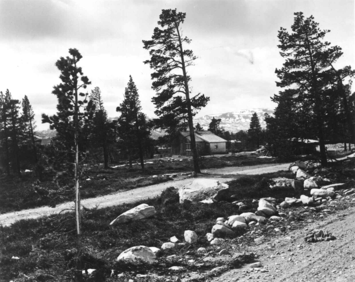 Huset til Bertil Danielsen i Elgå,1961.