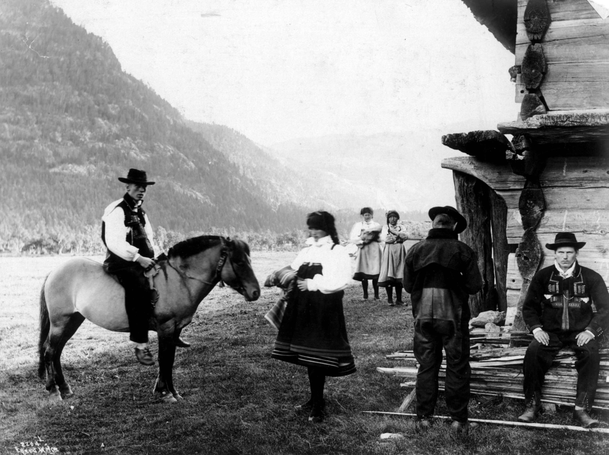 Menn og kvinner i folkedrakt på gården Haugo på Tveit i Austad i Bygland i 1888. Mann på hest.