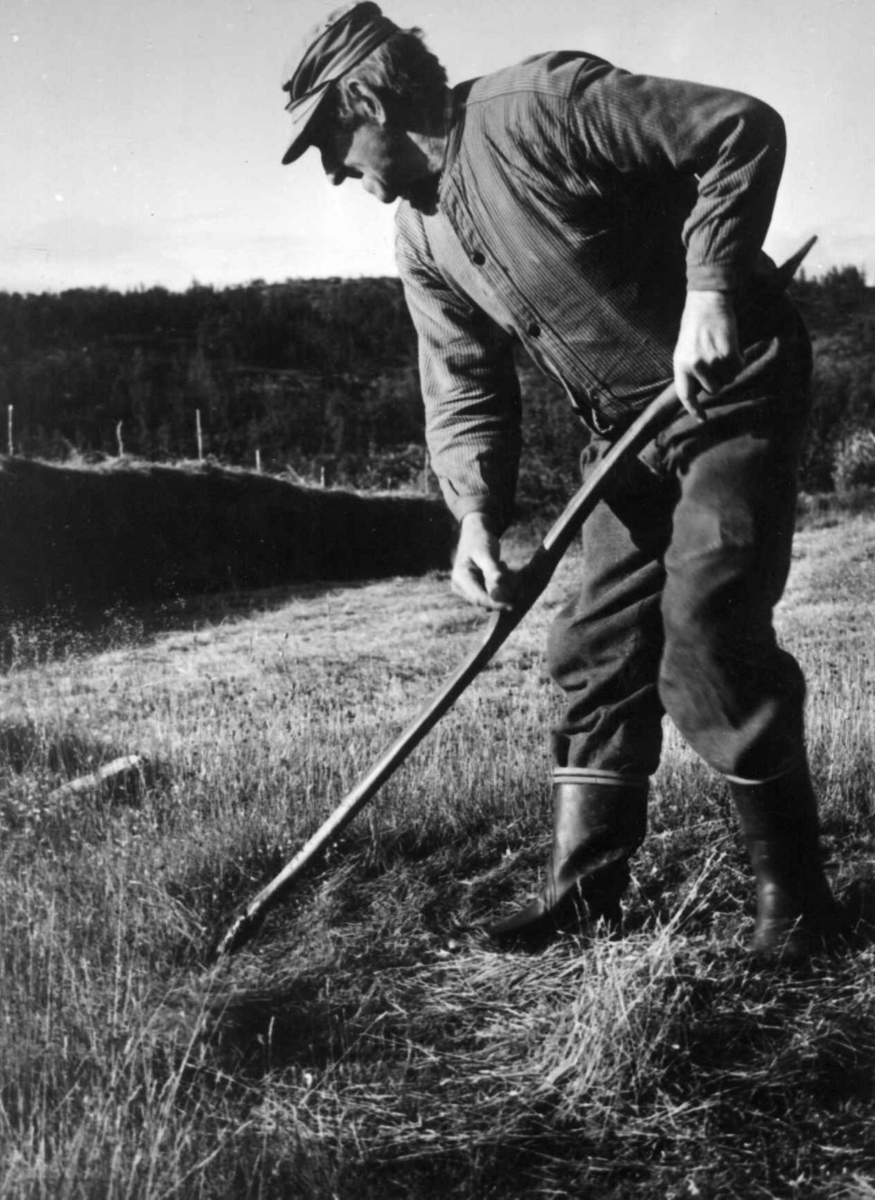 Slått, stølsarbeid og -stell