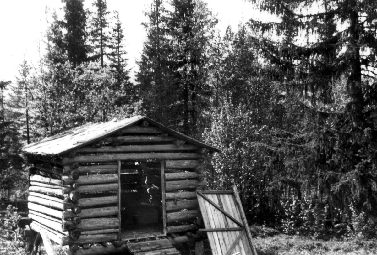 Laftet slåttebod, Gäutan ved Storuman-vassdraget 1958.