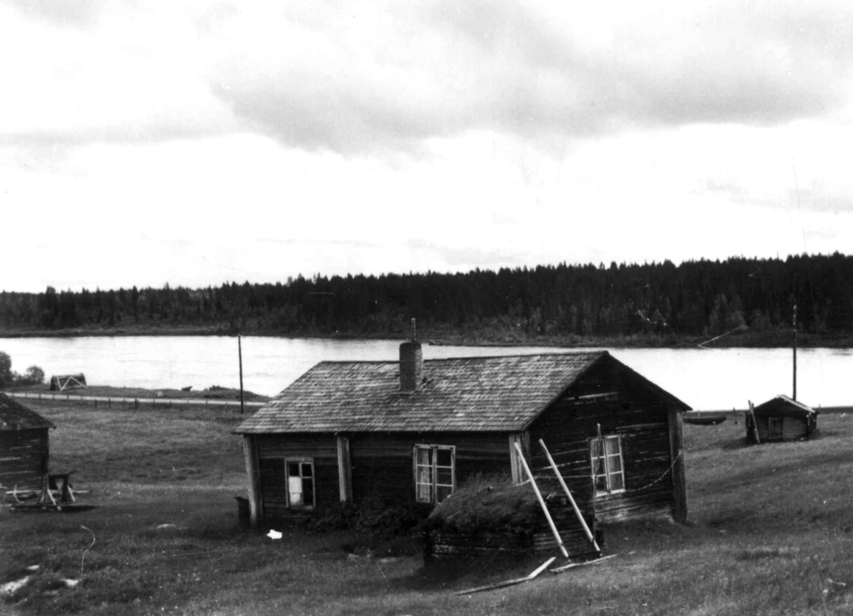 Fjøs, bolig, kalkkjeller, og badstue på gård, Särkimukka 1958.