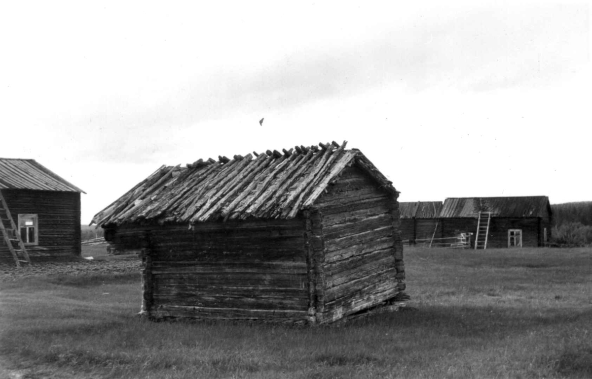 Flyttsamenes stabbur på Ylikyrö gård ved Pallas 1958.