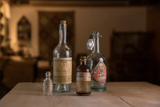 Museumsbuss: Sild og nervefeber