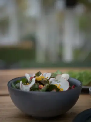 En lekker rett fra Gartneriet spiseri. 