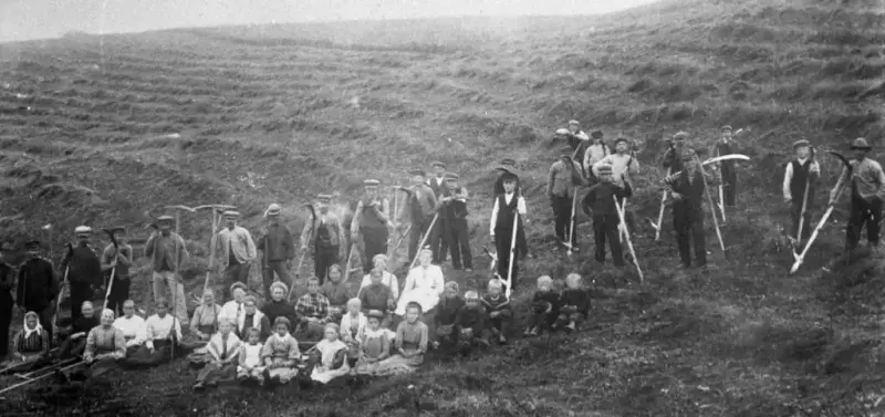 Ljåslått og hesjing