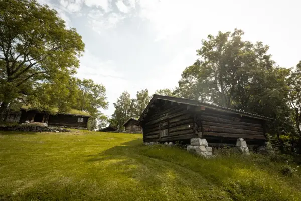 Bilde av uteområdet på Lågdalsmuseet. Vi ser historiske bygninger fra Rollag. 