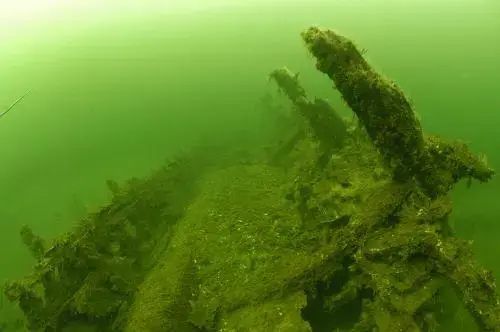 De nedbrutte skipsdelene fremstår nærmest som skjelletter eller naturlig formasjoner. De sprikende spantene og overgrodde konstruksjonsdelene gjør det vanskelig å se hva slags skipstype det er.