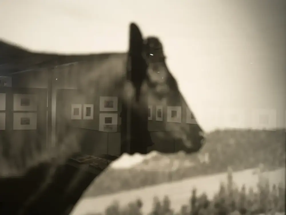 Detaljer fra fotoutstillingen "Godseierens bikk" i Galleri Østfløyen på Bogstad gård. 