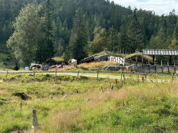 Grøset seter, Sigdals eneste seter i drift.