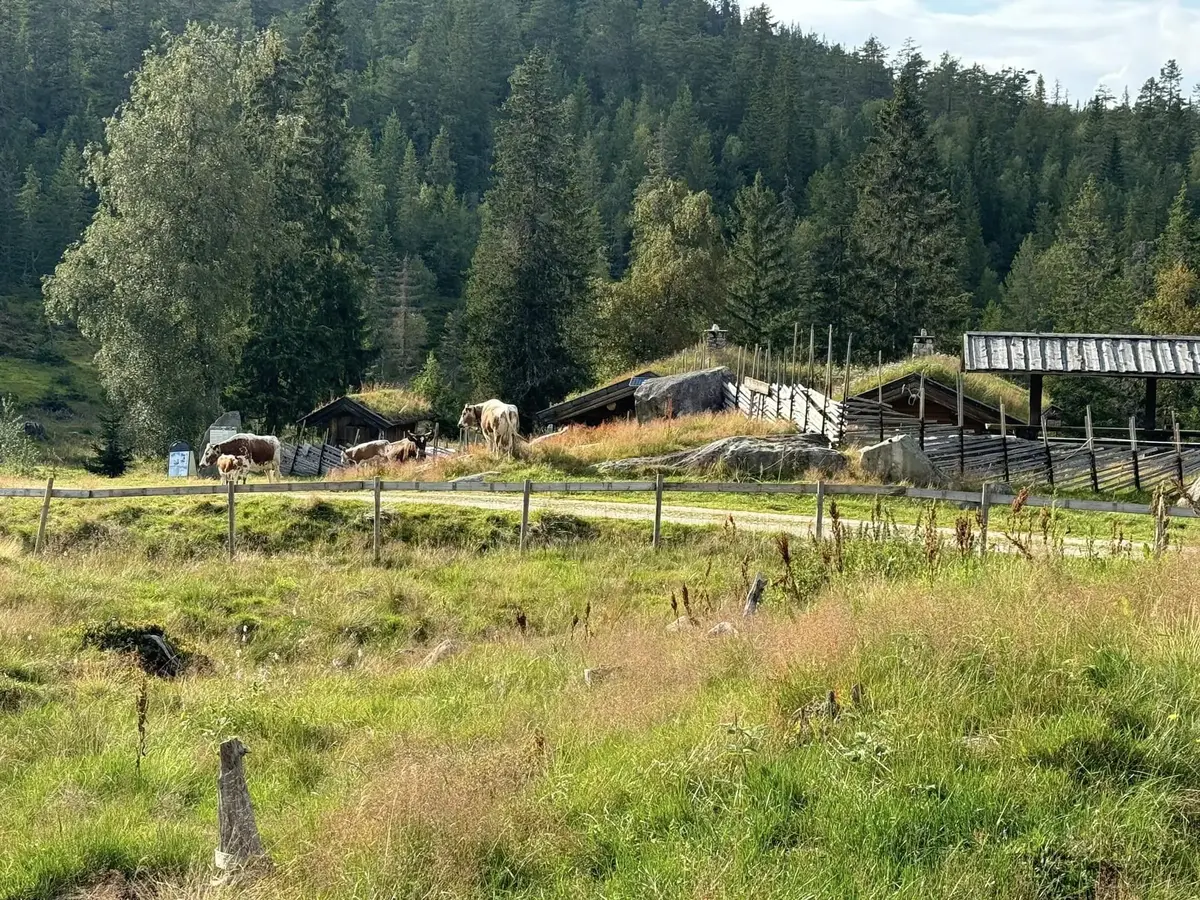 Grøset seter, Sigdals eneste seter i drift.