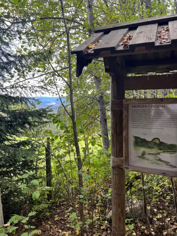 Fra naturstien ved Hagan 