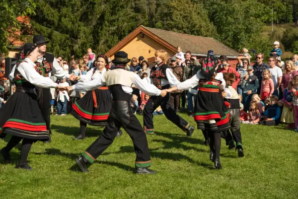 Bunadskledde dansere danser folkedans. Mange publikummere rundt. 
