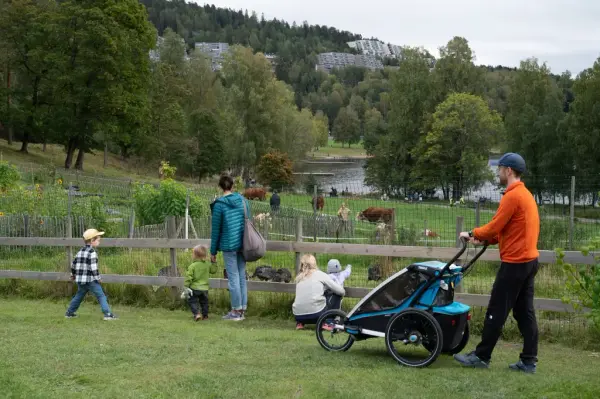 Barn og voksne hilser på dyrene som beiter på Bogstad gård. 