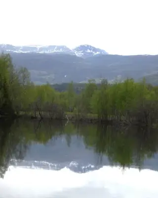 Utsikt fra Sole mot Åselva og Drotningegutua