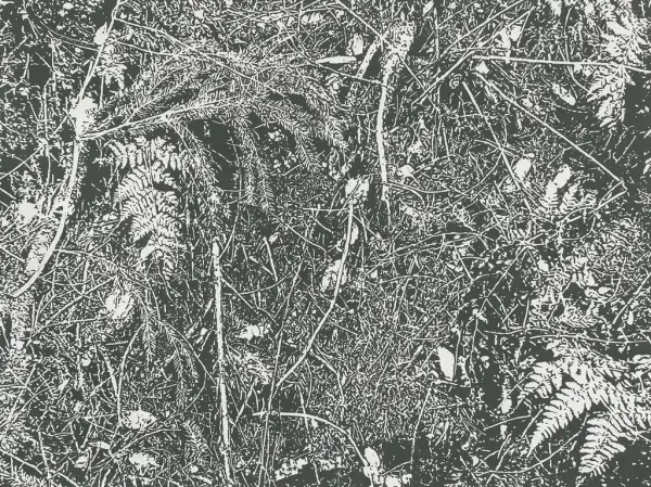 Kunst sort bakgrunn med hvite trykk av forskjellige blader og greiner 