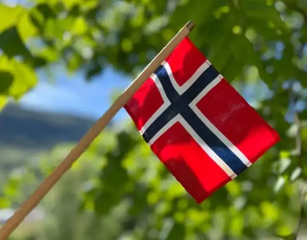 Det norske flagget mot solfyllt, vårgrøn bakgrunn