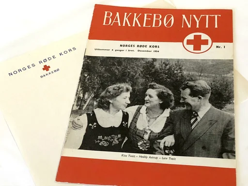 Institusjonstiden som brobygger i åndssvakesaken