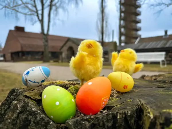 Bilde av påskeegg