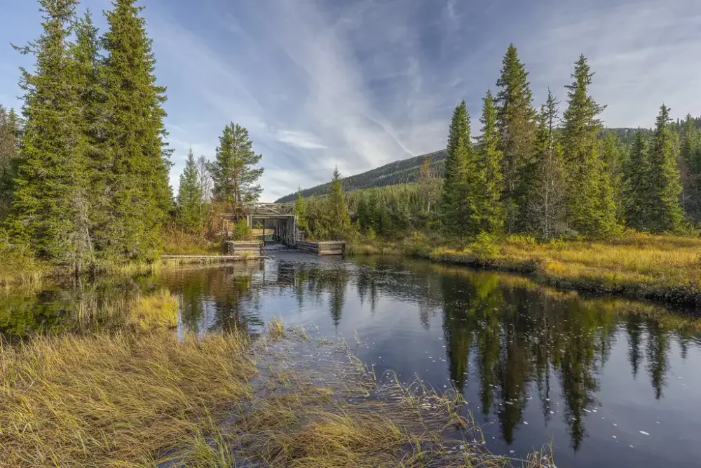 Stille elvelandskap med skog, høstfarger og speilinger i vannet.