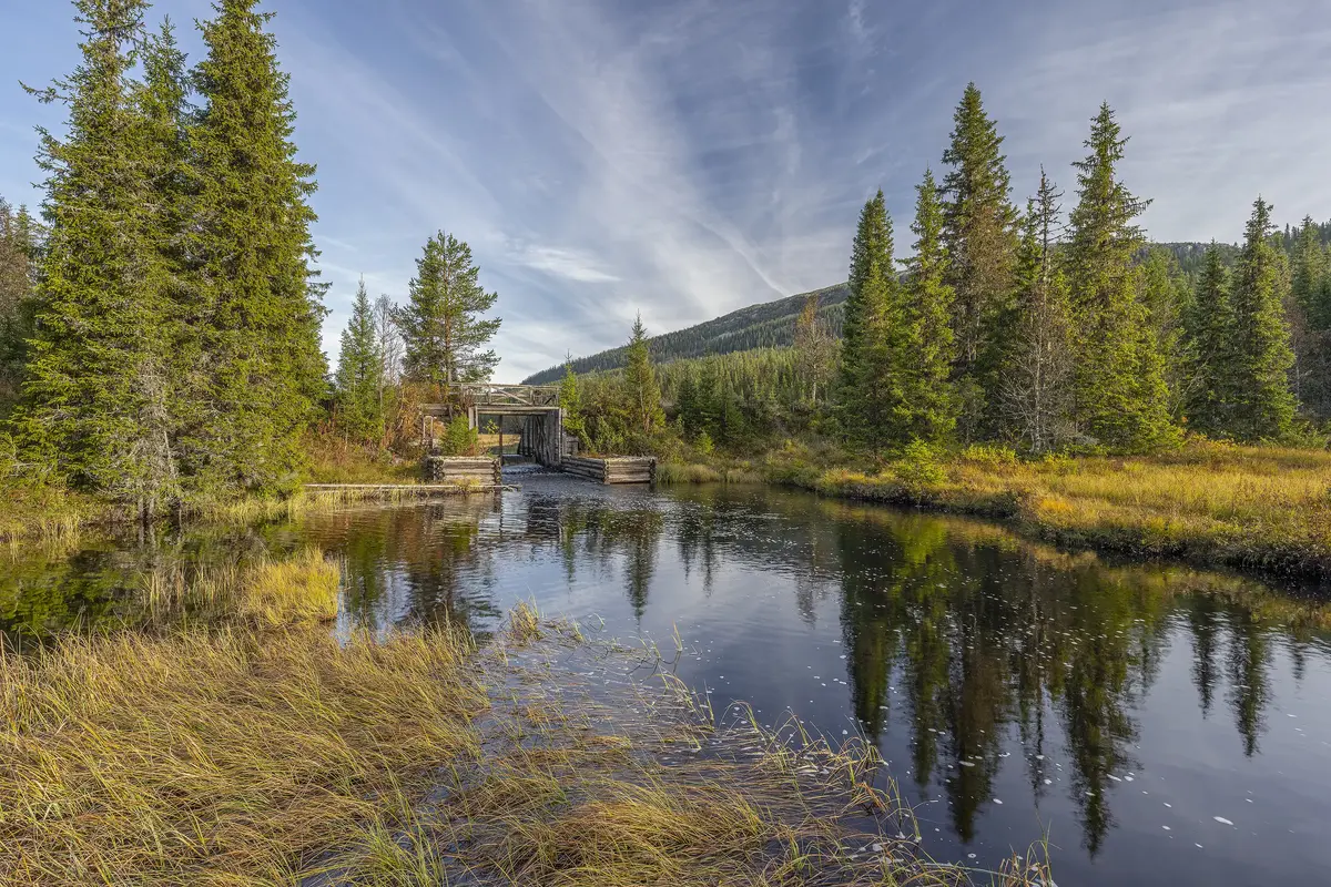 Stille elvelandskap med skog, høstfarger og speilinger i vannet.