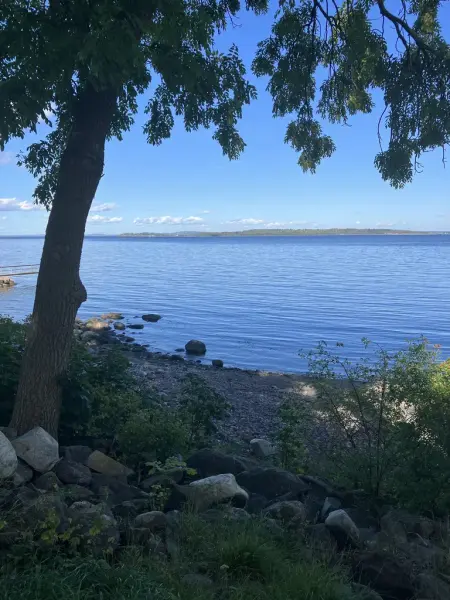 Vi ser utover mot havet fra land. Et stort tre står til venstre. Det er sol og sommer