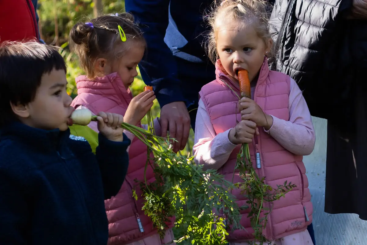Sanking av grønnsaker