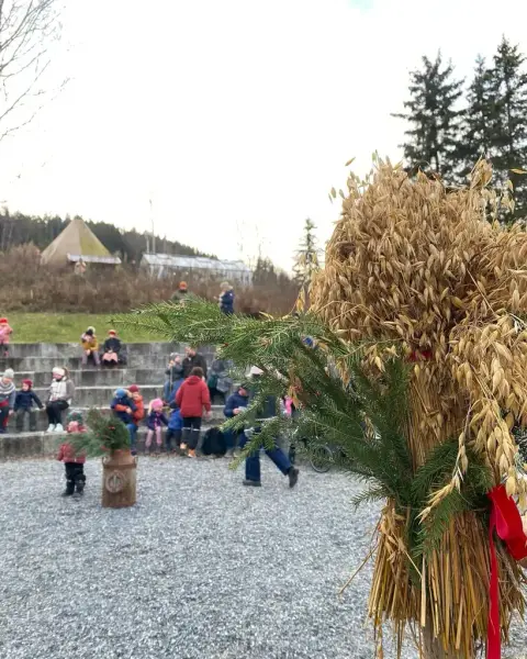 Amfiet fylles før juletregang