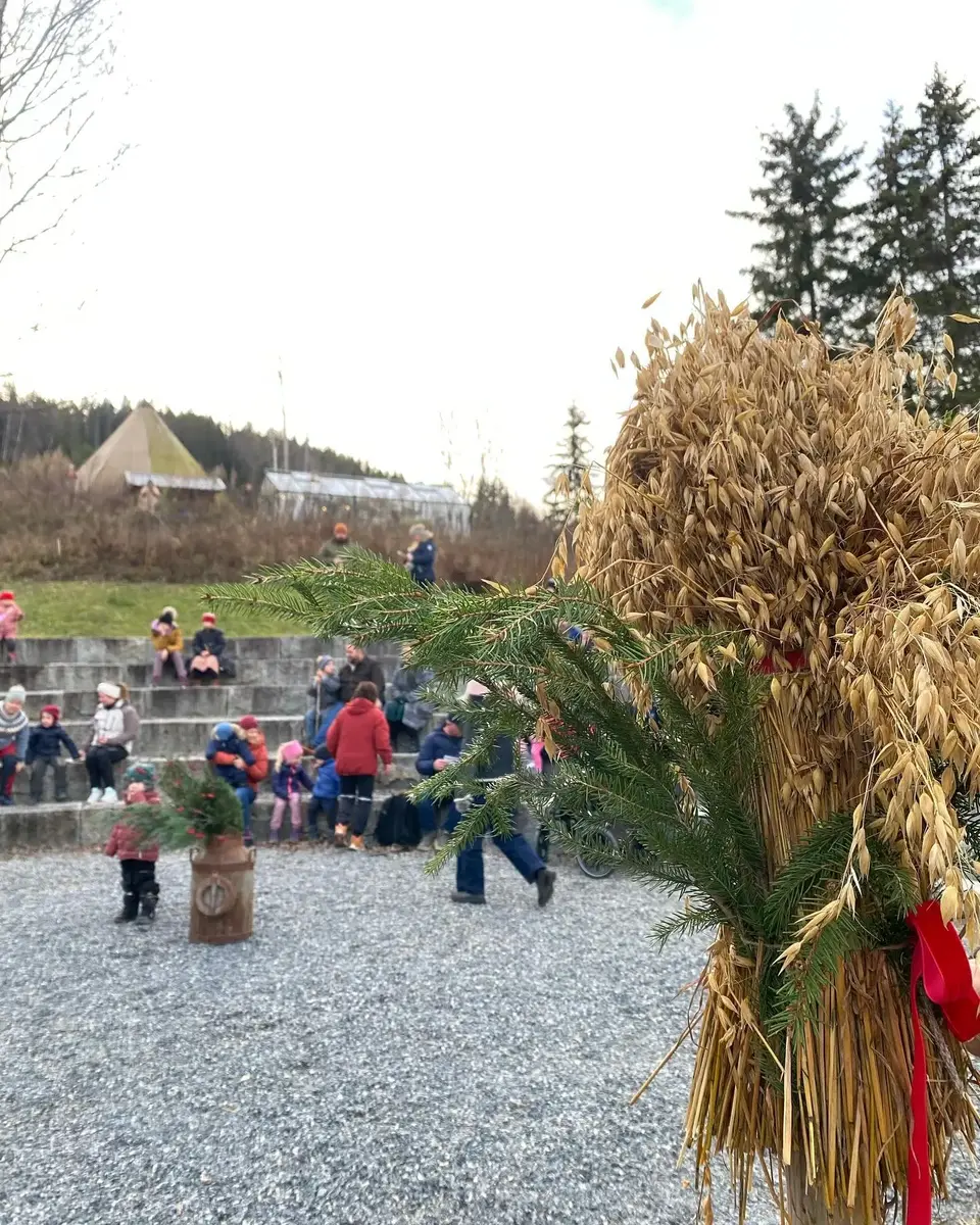 Amfiet fylles før juletregang