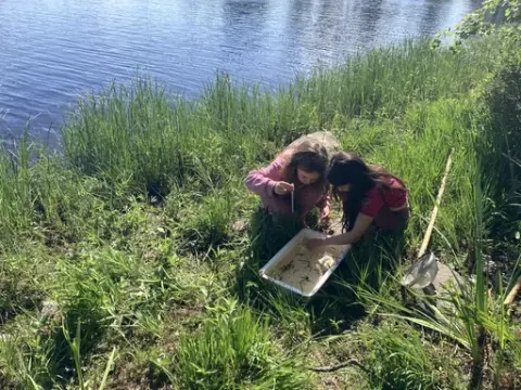 Småkryp i ferskvann