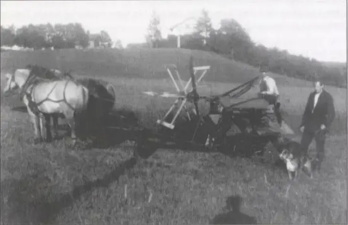Mann på selvbinder, trukket av to hester. En annen mann står ved siden av med en hund i bånd.