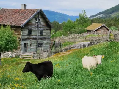 Eventyr, leik og dyr