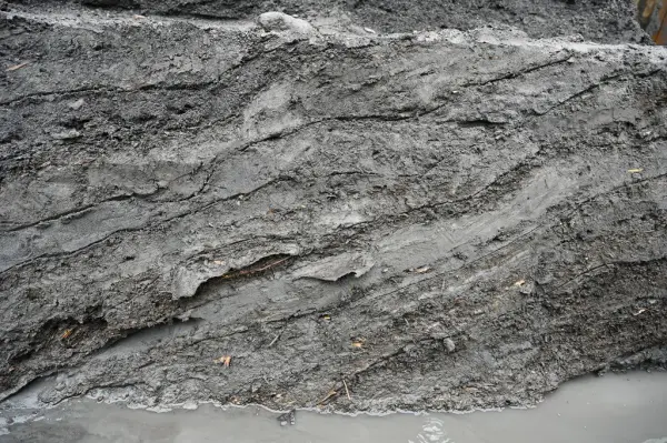 Profil med elve- og sjøavsatte lag, hvor de elveavsatte lagene består av store mengder organisk materiale som kvist, hoggflis, trebiter og mose.