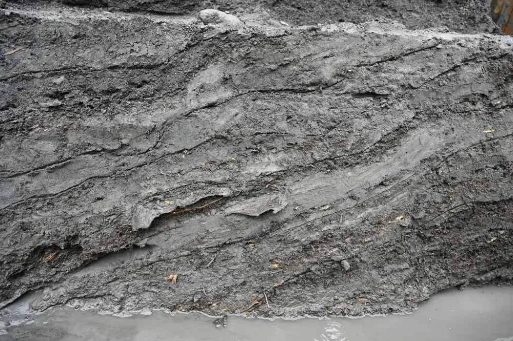 Profil med elve- og sjøavsatte lag, hvor de elveavsatte lagene består av store mengder organisk materiale som kvist, hoggflis, trebiter og mose.