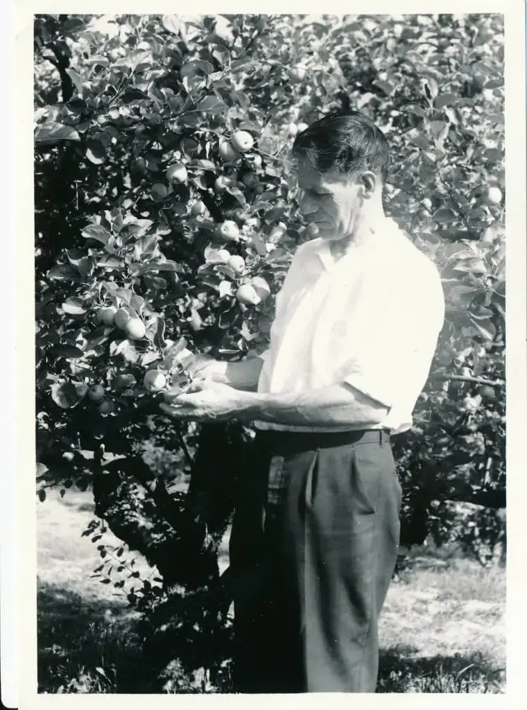 Olav H. Hauge i eplehagen