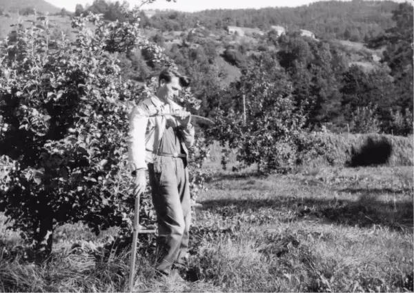 Olav H. Hauge med ljå