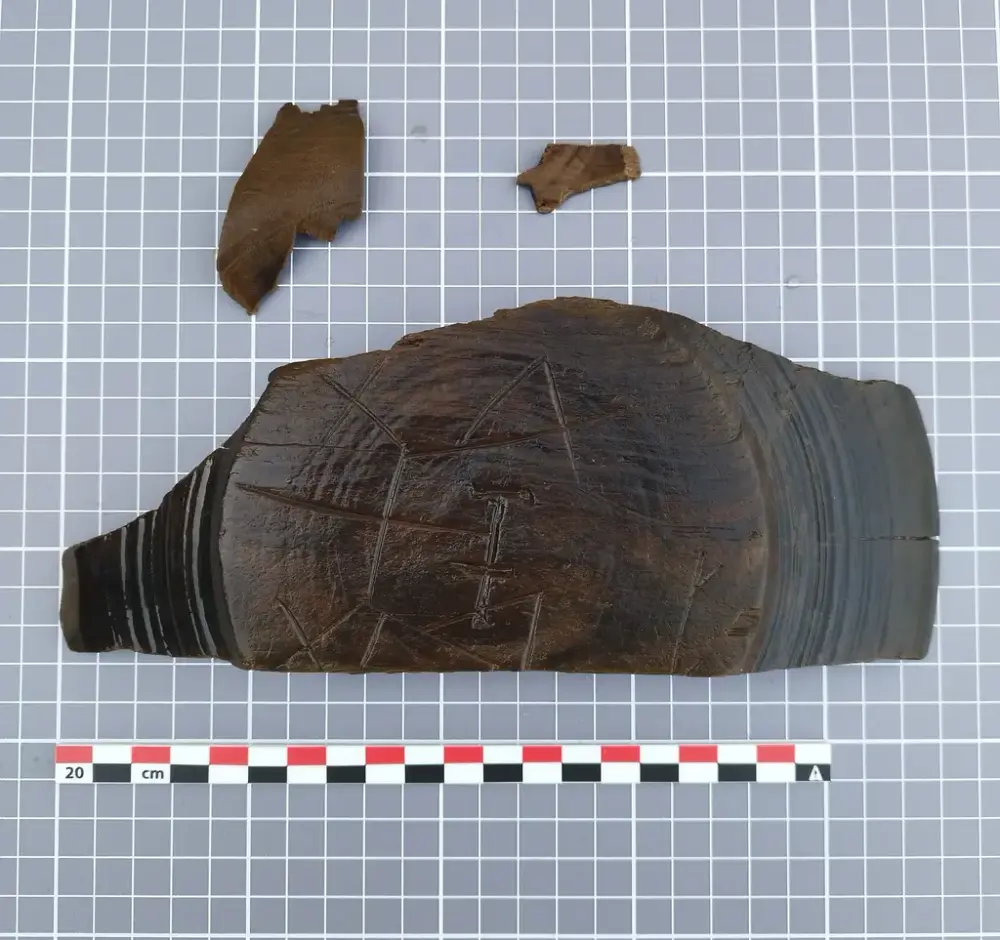 Fragment av dreid trebolle med innrisset bumerke, funnet i Bjørvika.