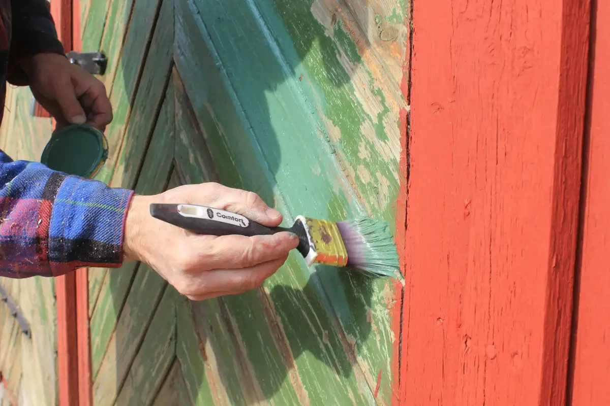 Nærbilde av hånd som holder en pensel som maler grønn linoljemaling på tørr uthusdør.