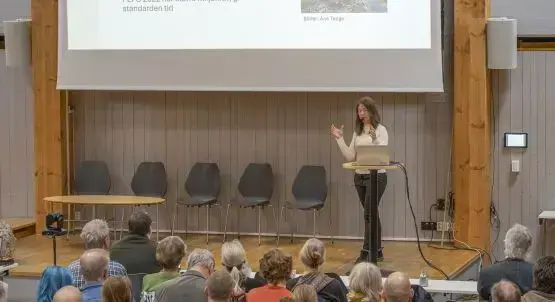 Sjølie formidler fra en scene