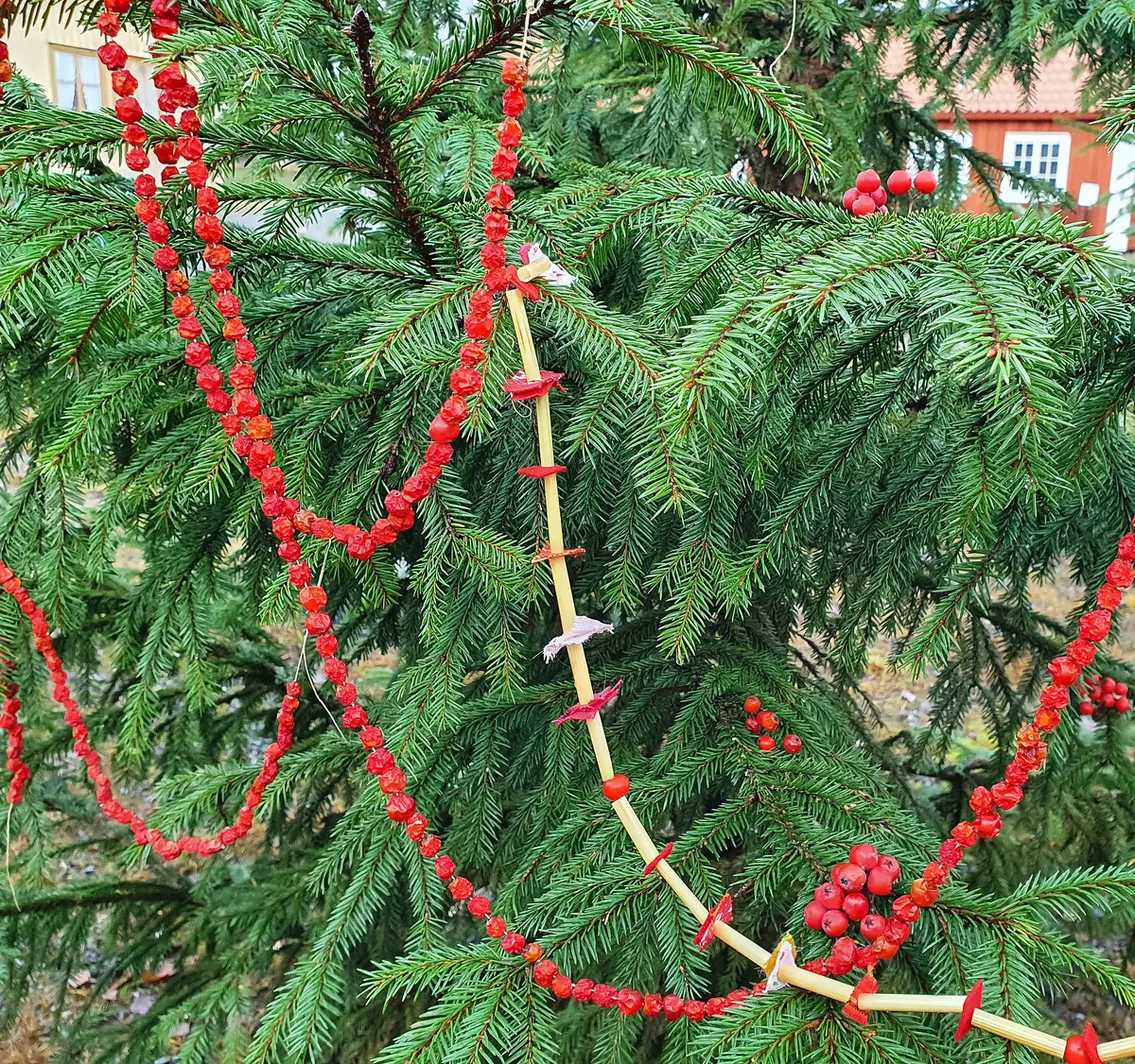 Girlanger av halm, kläde och rönnbär i julgran