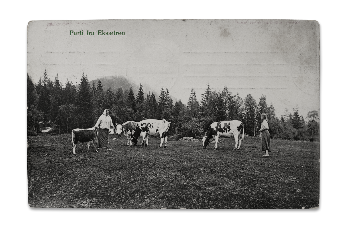 Parti fra Eiksetra. Postkort skrevet i 1909. Helt fra 1600-tallet var området ved Garsjø seterbruk for Eikgårdene. Etter at meieriene ble etablert i Lier fra 1865, ble det ikke lenger behov for seterdrift. Senere ble det fast bosetting på plassene rundt vannet som på Gamlevollen, Solvang og Eiksetra. Kona med skaut på bildet er Julie Kasta. Jenta er Lovise Hansen Kasta.