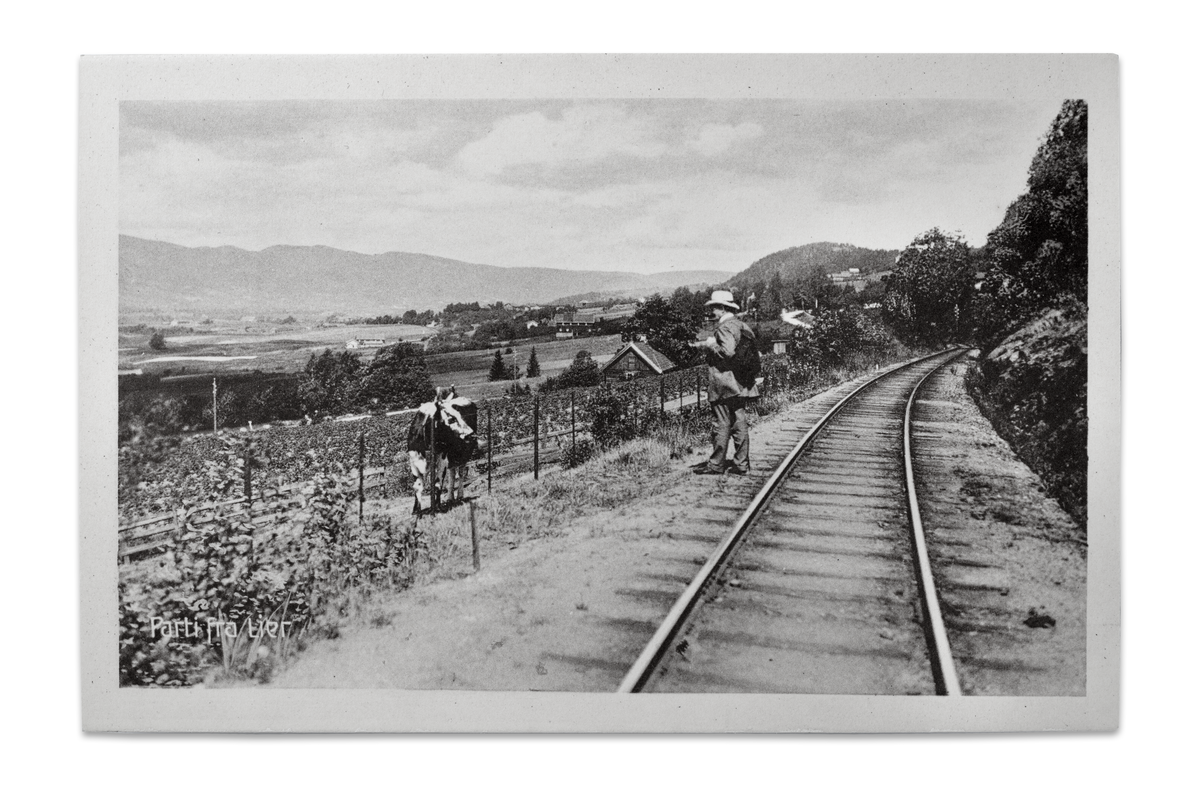 Parti fra Drammenbanen med utsikt over Lierdalen mot nordvest. Postkort stemplet 1914. Bildet er tatt ved en svak kurve mellom Sørumdalen og Reistad. Banen ble åpnet på strekningen Drammen - Christiania i 1872. Den var smalsporet med standard sporbredde 1067 mm inntil banen ble utvidet til normalspor i 1920.