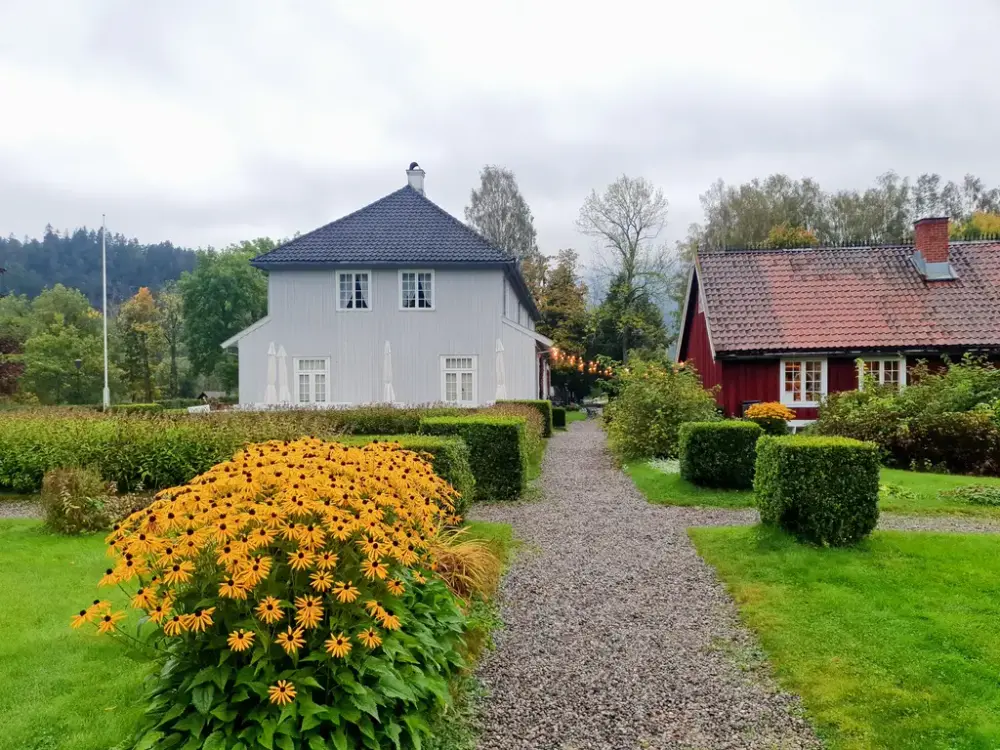 Viser en grus vei som leder opp til ett grått to-etasjers hus til venstre og ett mindre rødt hus på høyre. Langs veien er det hekker og en stor busk med mange gule blomster.